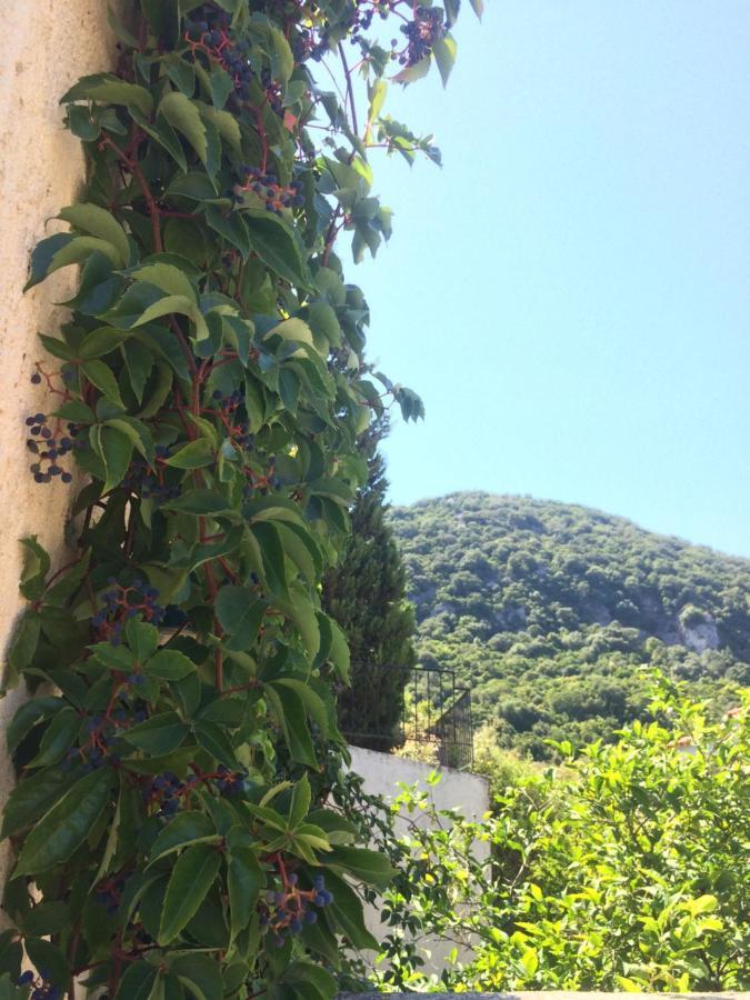 Giannatos' Studios - Makis Poros  Eksteriør bilde