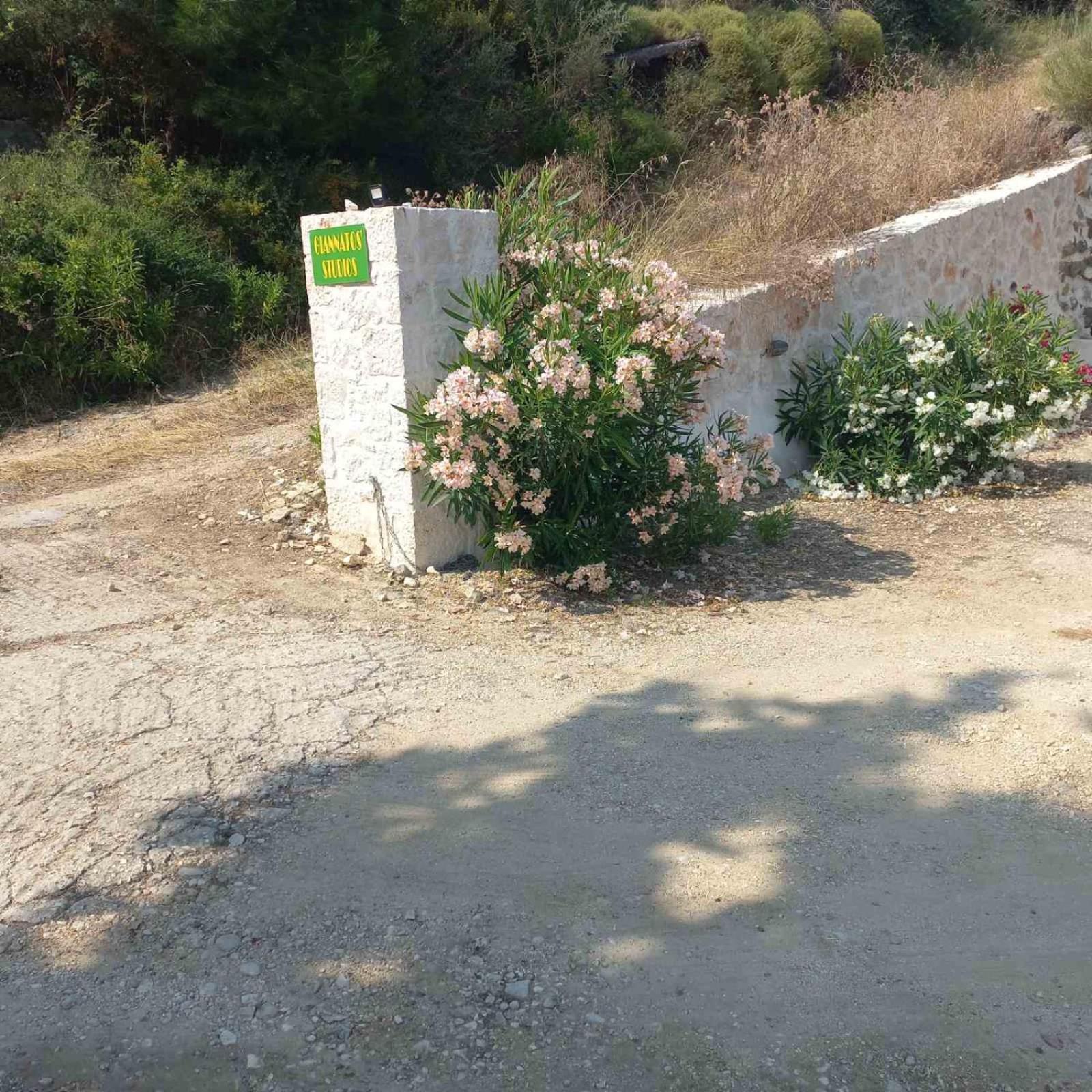 Giannatos' Studios - Makis Poros  Eksteriør bilde
